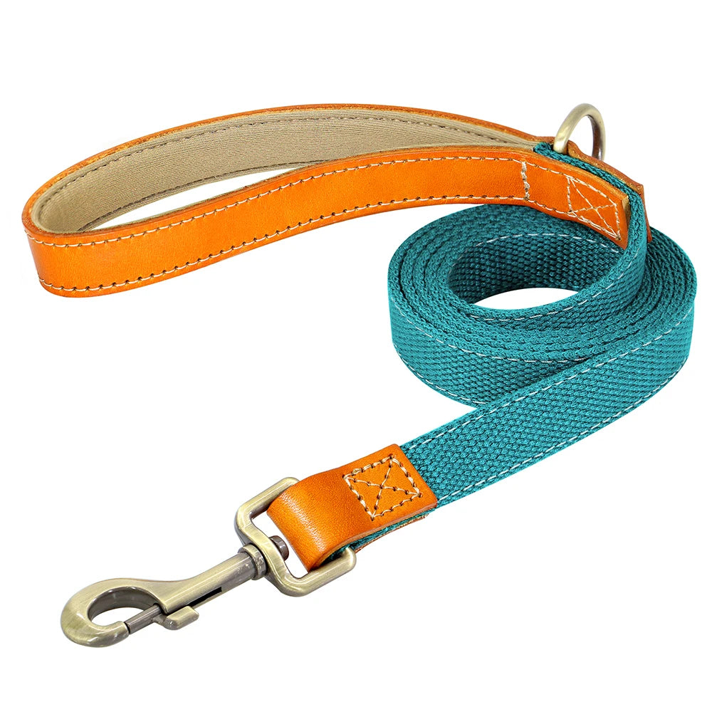 Correa de Cuero y Nylon para Perros de 150 cm | Paseos Seguros y Resistentes