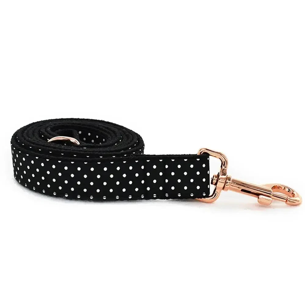Conjunto de Collar y Correa Sólidos de Nylon para Perros – Seguridad y Comodidad en Cada Paseo