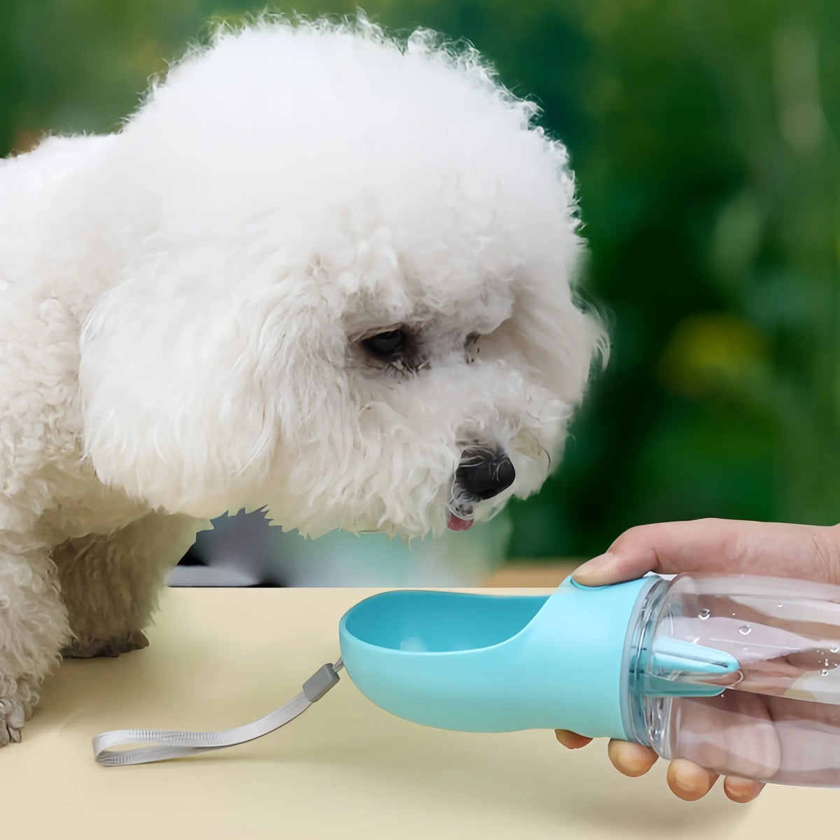 Comedero y Bebedero de Viaje para Perros – Práctico, Portátil y Antiderrame