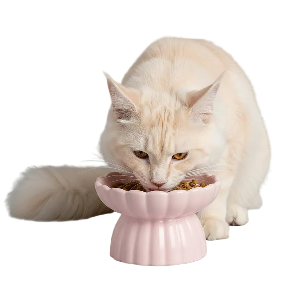 Comedero Cerámico Elevado Antiatragantamiento para Gatos - Blanco