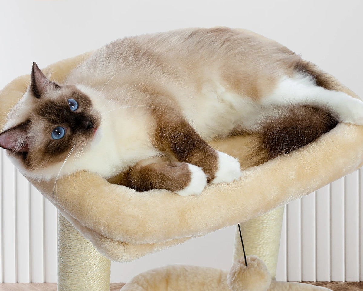 Árbol Rascador para Gatos con Cueva y Plataformas – Cómodo, Seguro y de Alta Calidad