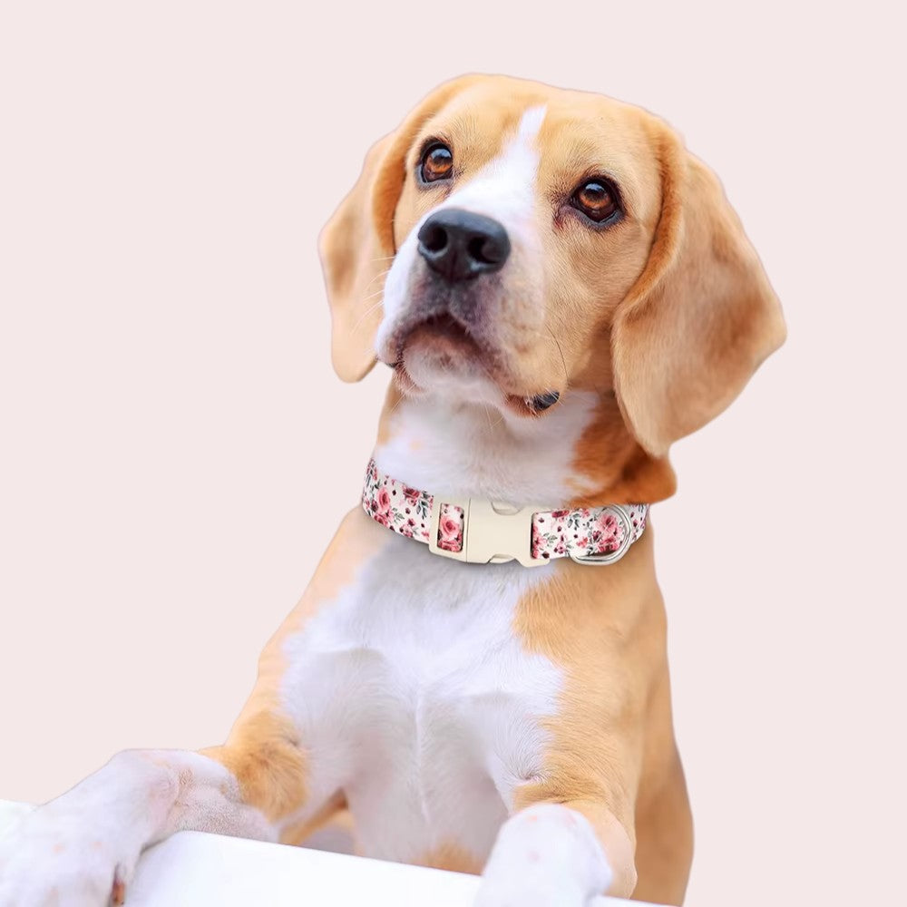 Collar Rosa con Flores para Perros – Dale Estilo y Seguridad