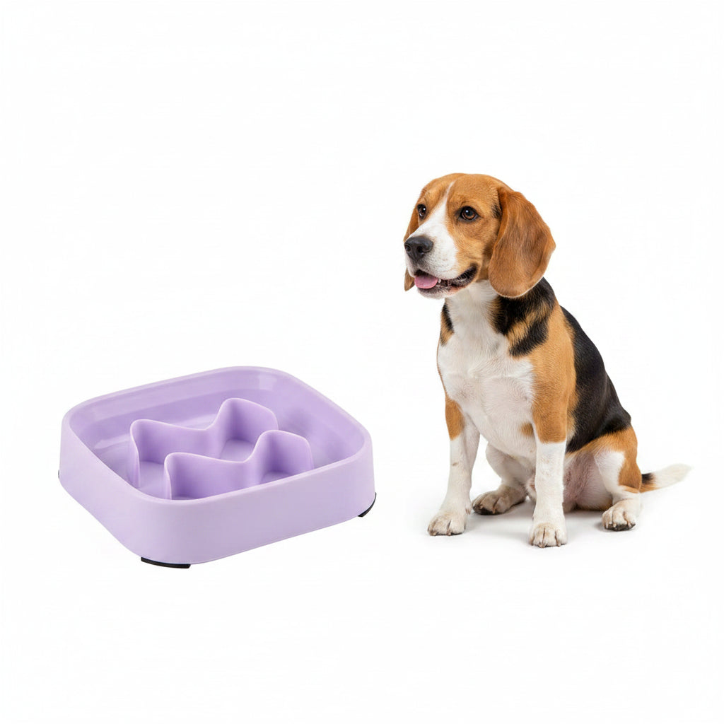 Comedero Antiahogo de Colores para Perros y Gatos - Modelo Sereno
