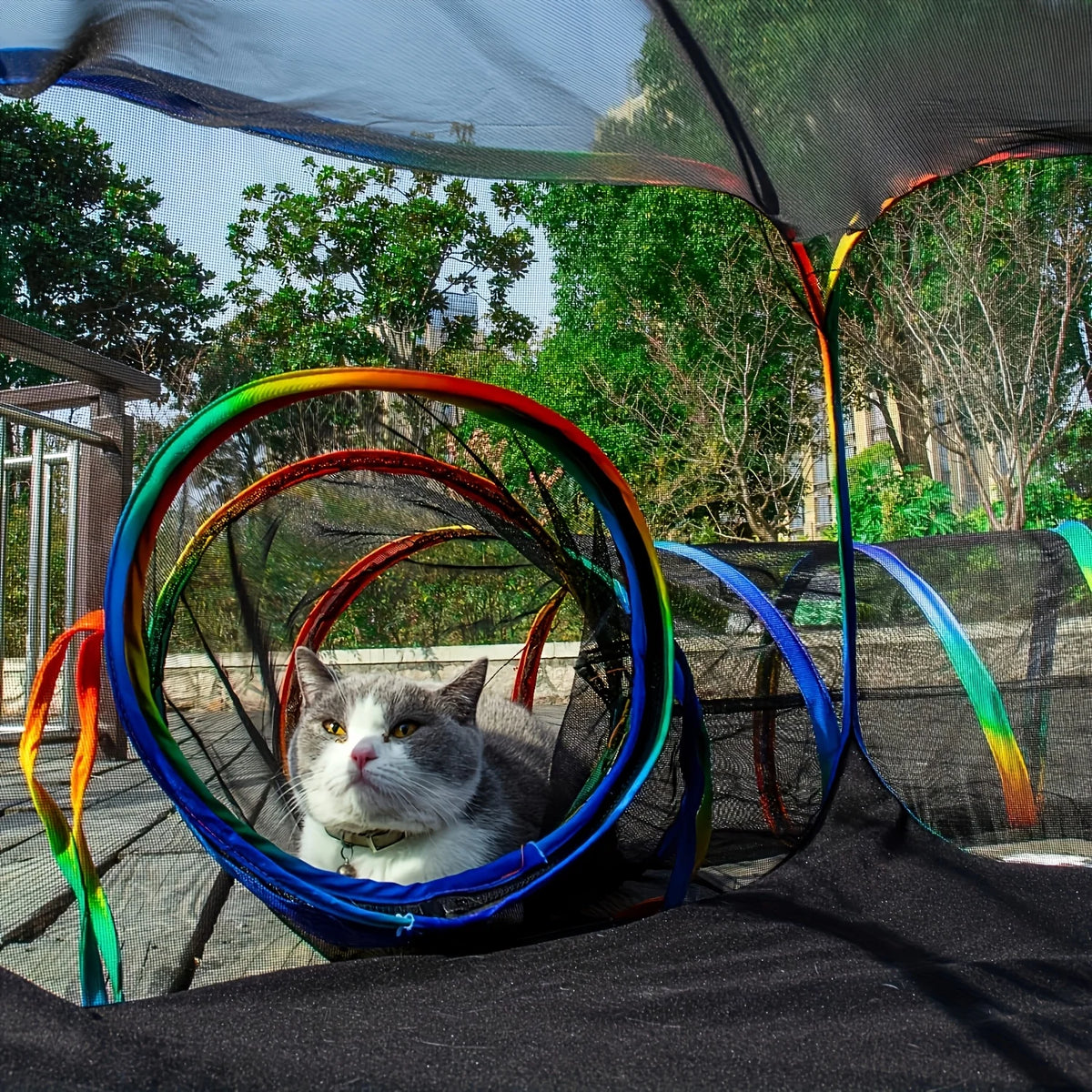 Tienda y Túnel de Lujo para Gatos y Mascotas Pequeñas – Espacio Ventilado