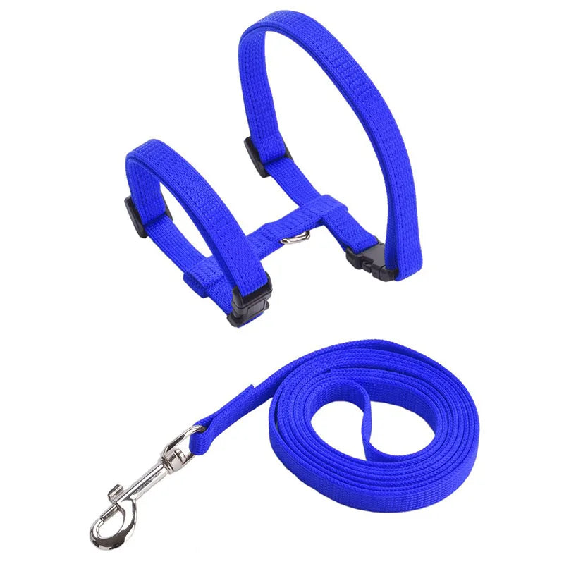 Set de Collar, Arnés y Correa Ajustable para Gatos