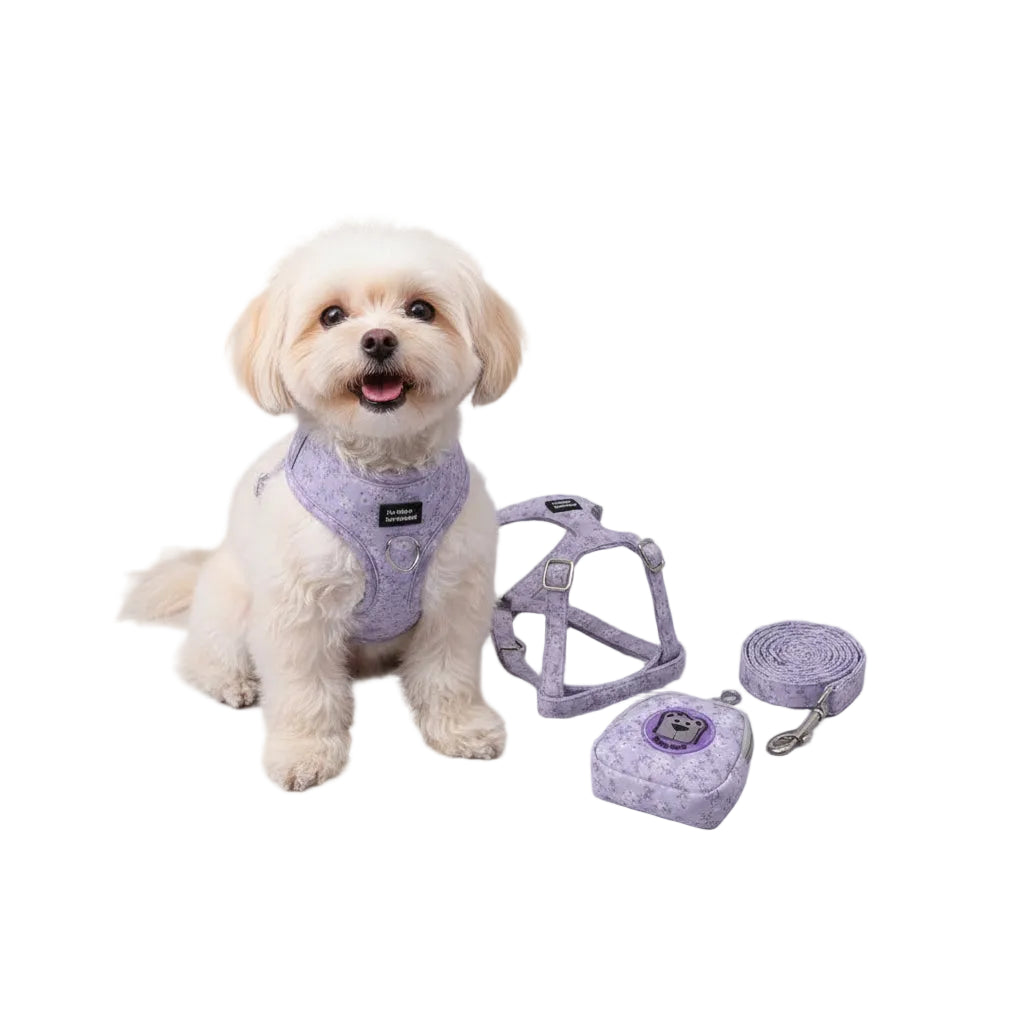 Set de Arnés Floral con Mini Mochila para Perros y Gatos