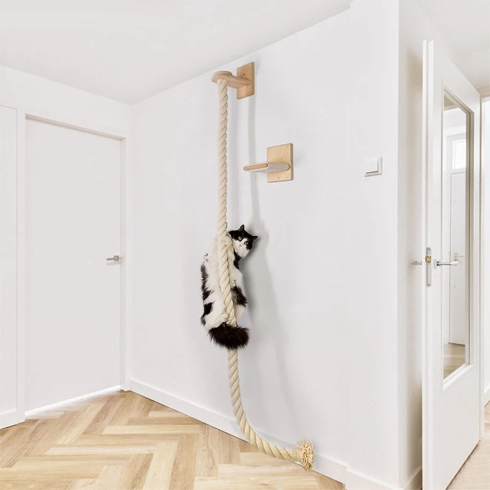 Set de Escalada para Gatos con Cuerda de 140cm y Estante - Diversión Vertical