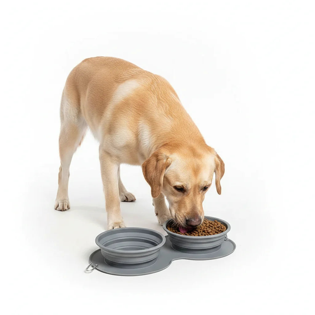 Comedero Plegable de Silicona para Perros y Gatos