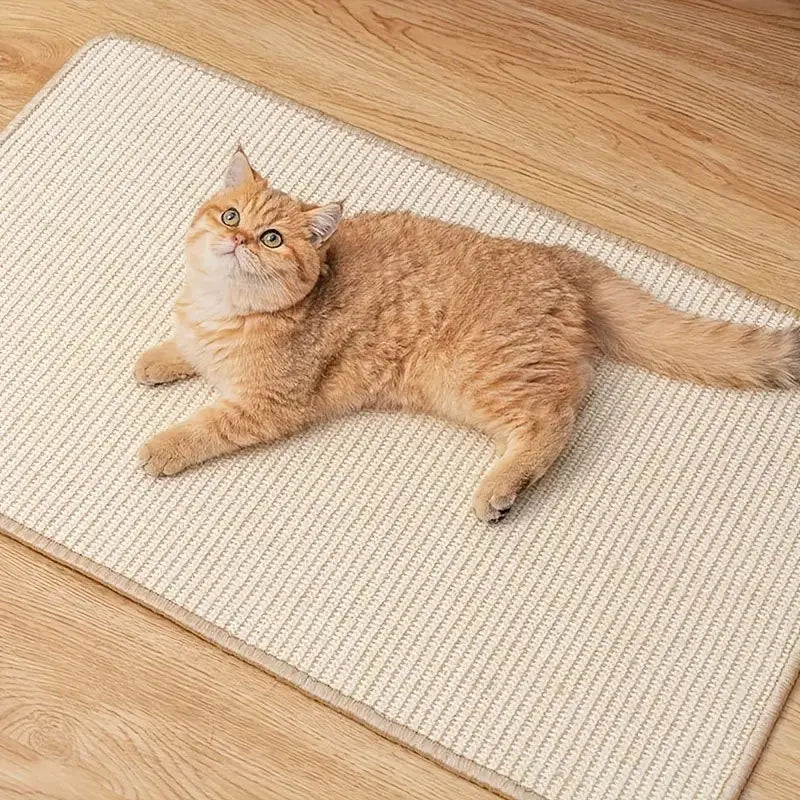 Rascador de sisal para gatos – Protección y bienestar en casa