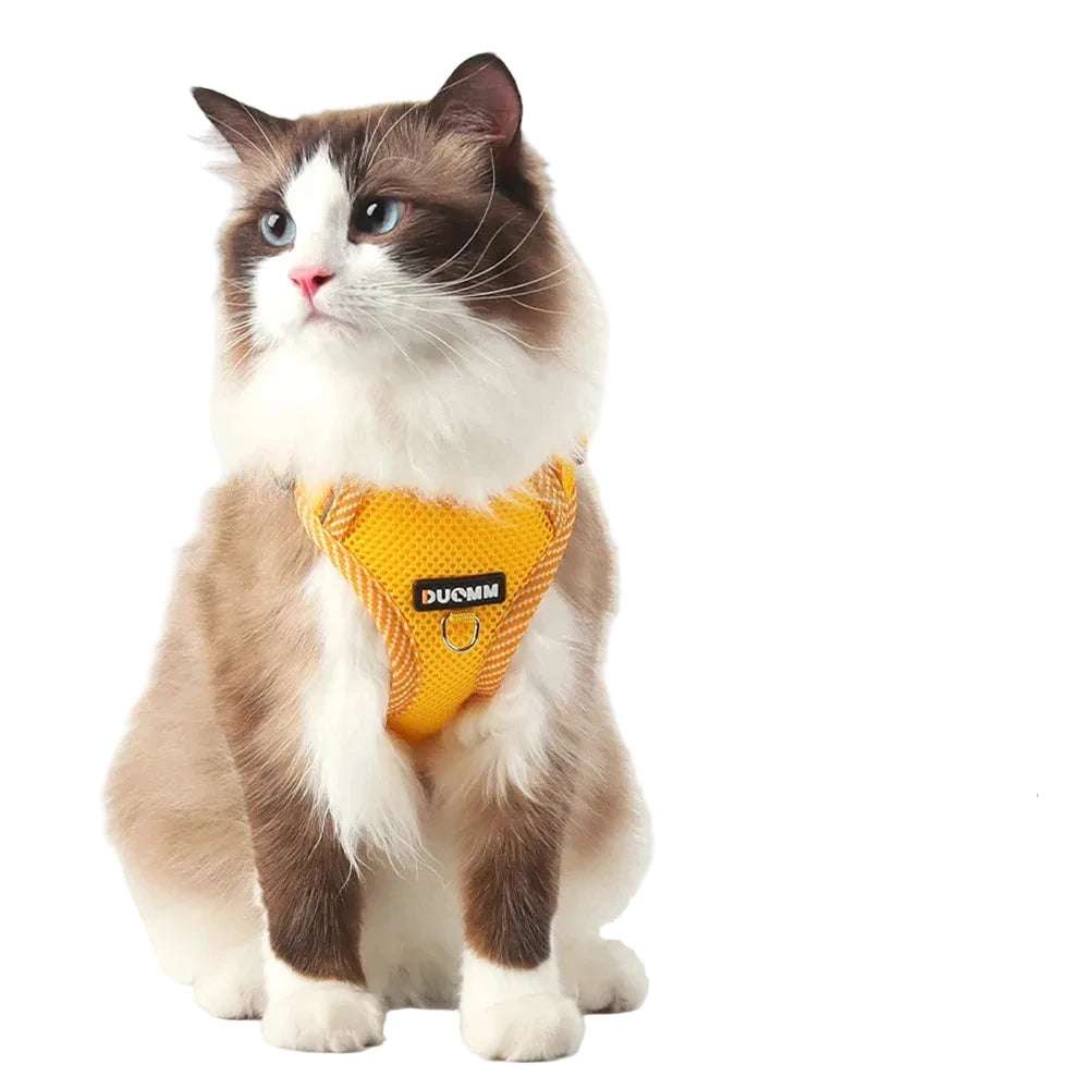 Reflektierendes Netzgeschirr für Katzen und kleine Hunde