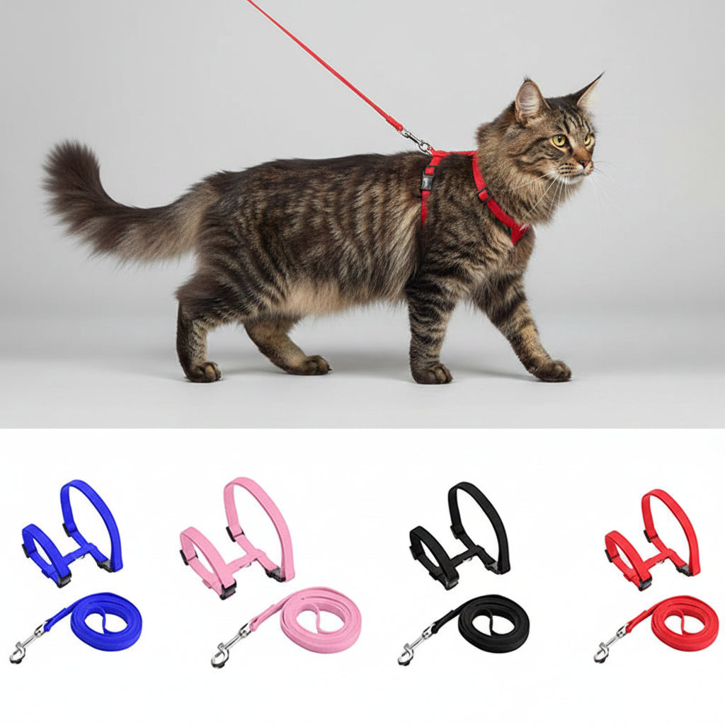 Set de Collar, Arnés y Correa Ajustable para Gatos