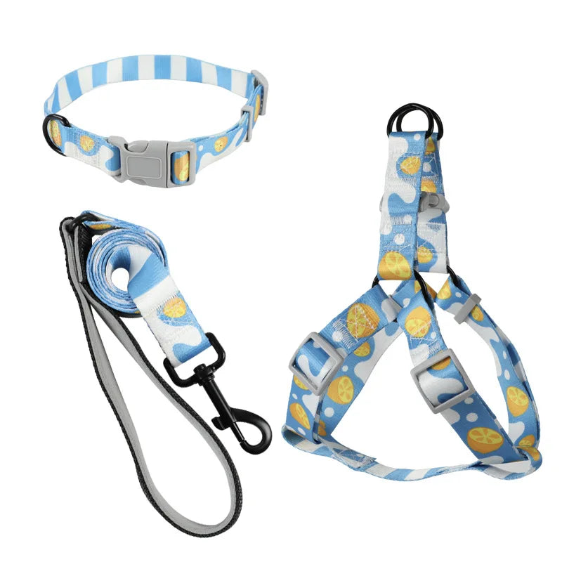 Arnés, Collar y Correa para Perro - Estampado Celeste