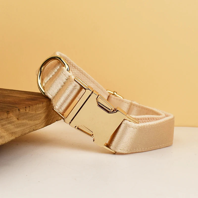 Set de Collar, Arnés y Correa de Lujo Personalizable Golden