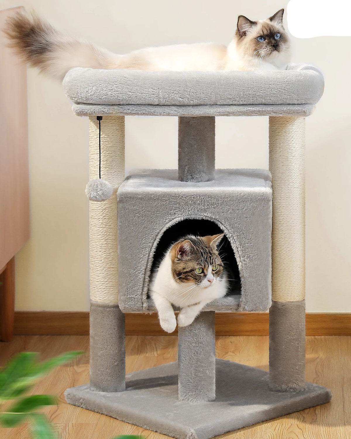 Árbol Rascador para Gatos con Cueva y Plataformas – Comodidad, Diversión y Seguridad - 41 x 41 x 72 cm