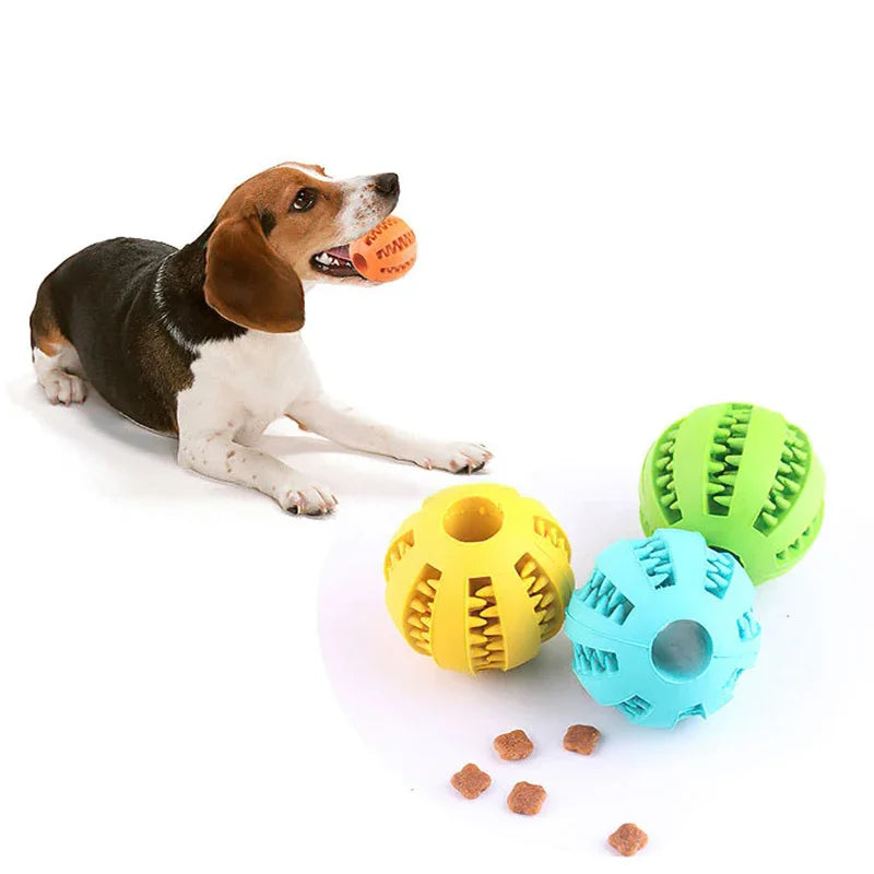 Pelota Interactiva de Goma con Limpieza Dental para Perros