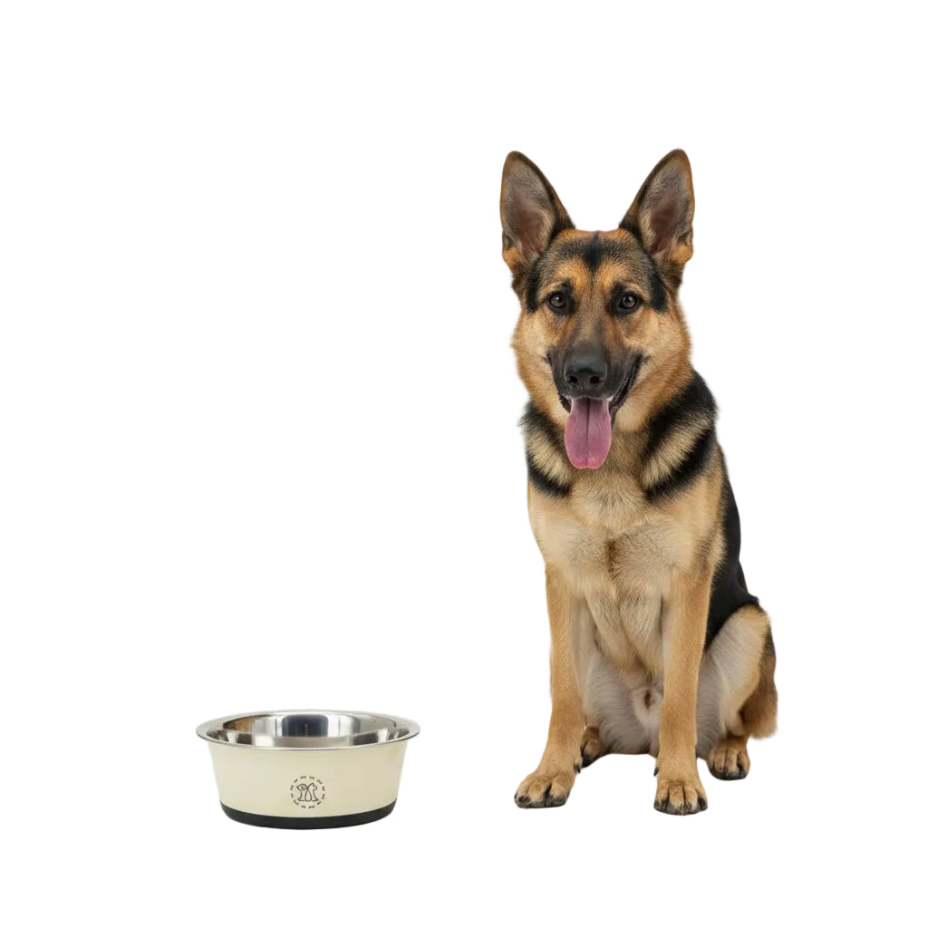 Comedero de Acero Antivuelco para Perros y Gatos - Crema