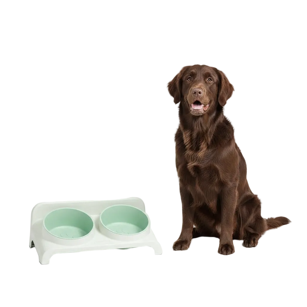 Comedero Doble Elevado y Ajustable para Perros y Gatos - Verde y Blanco