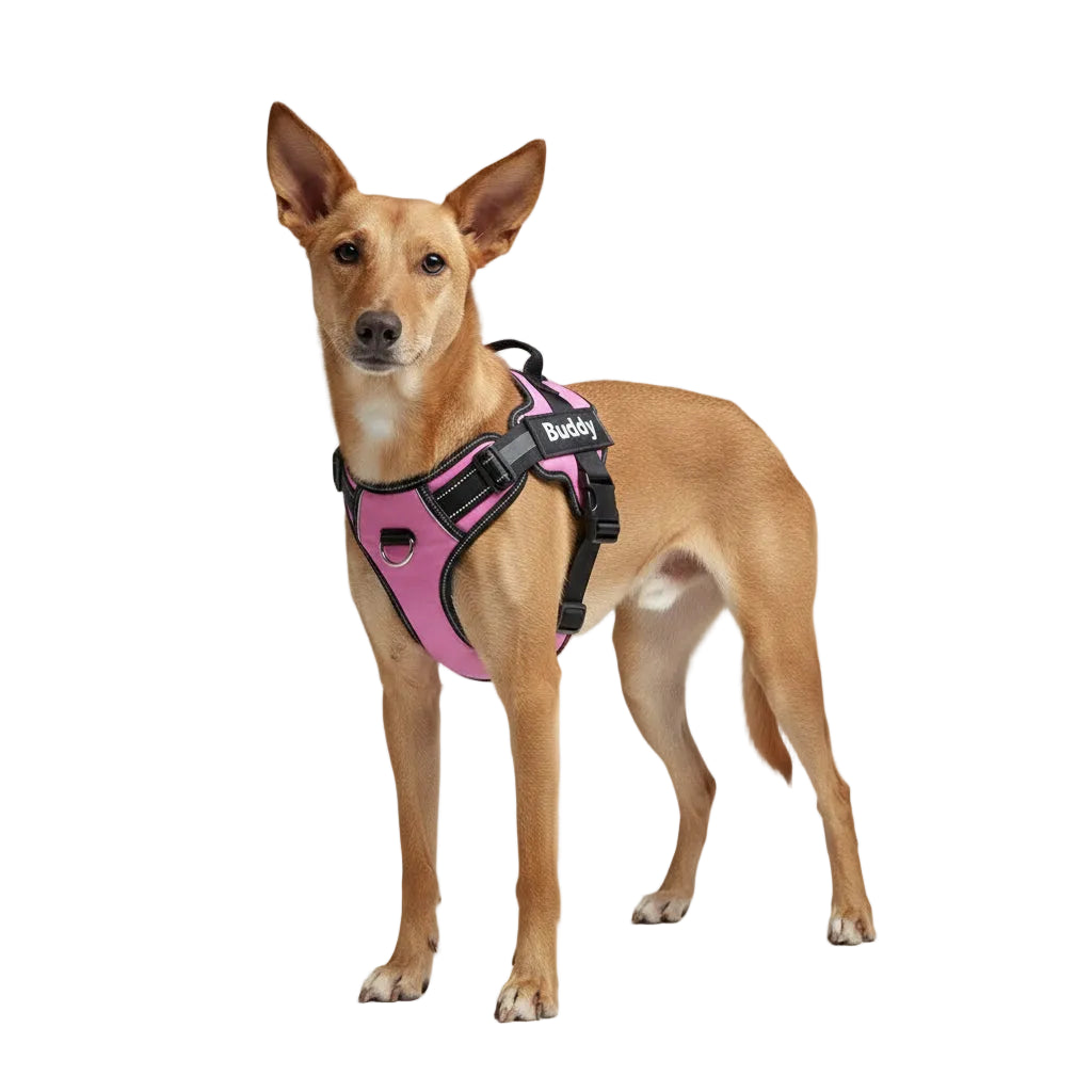 Arnés Personalizable para Perros – Verde, Fucsia, Rosa y Lila
