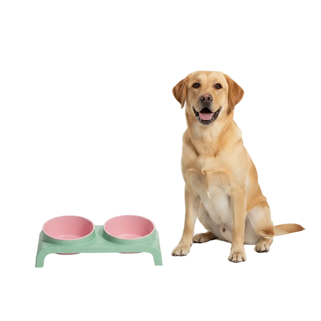 Comedero Doble Elevado y Ajustable para Perros y Gatos - Rosa y Verde
