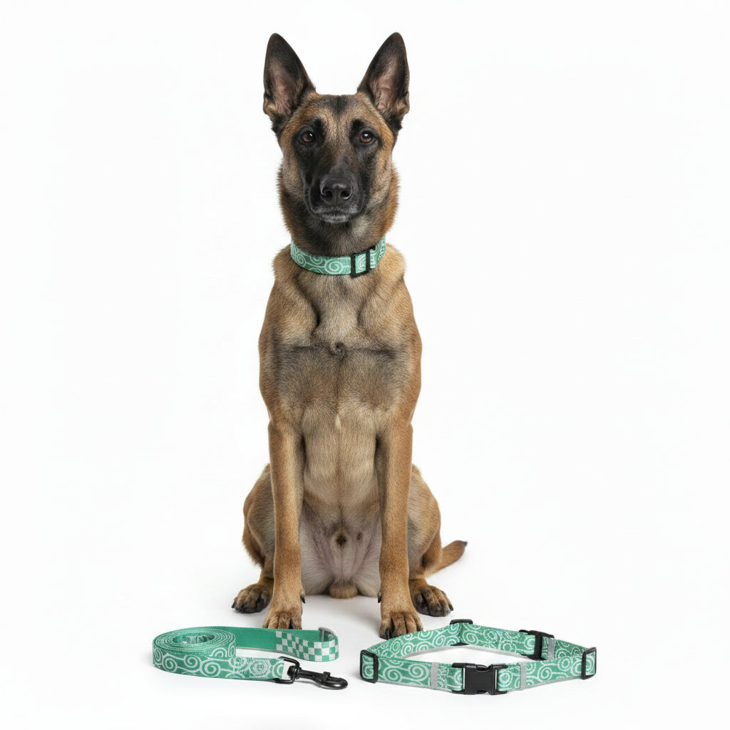 Arnés, Collar y Correa para Perro - Estampado Verde