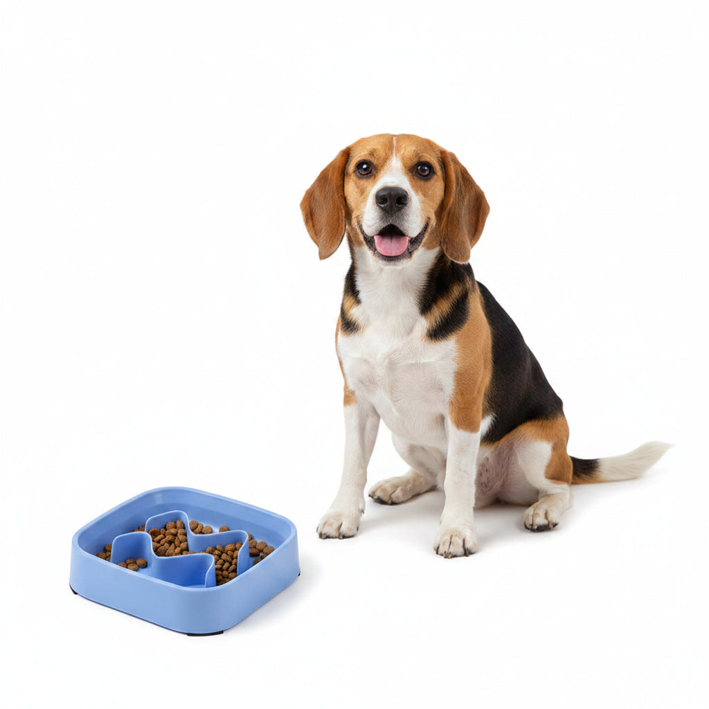 Comedero Antiahogo de Colores para Perros y Gatos - Modelo Suave
