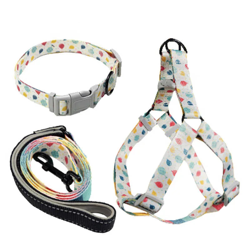 Arnés, Collar y Correa para Perro - Estampado Blanco