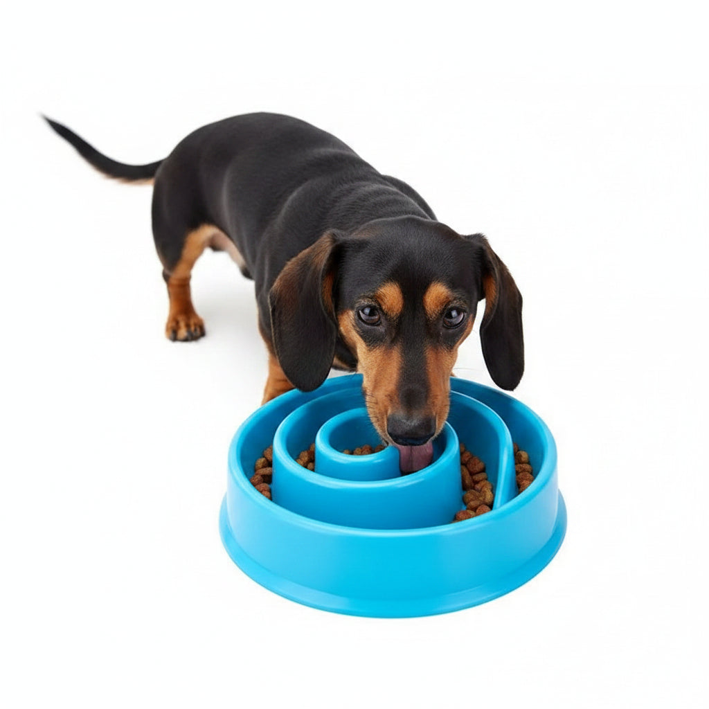 Comedero Antivoraz Espiral para Perros