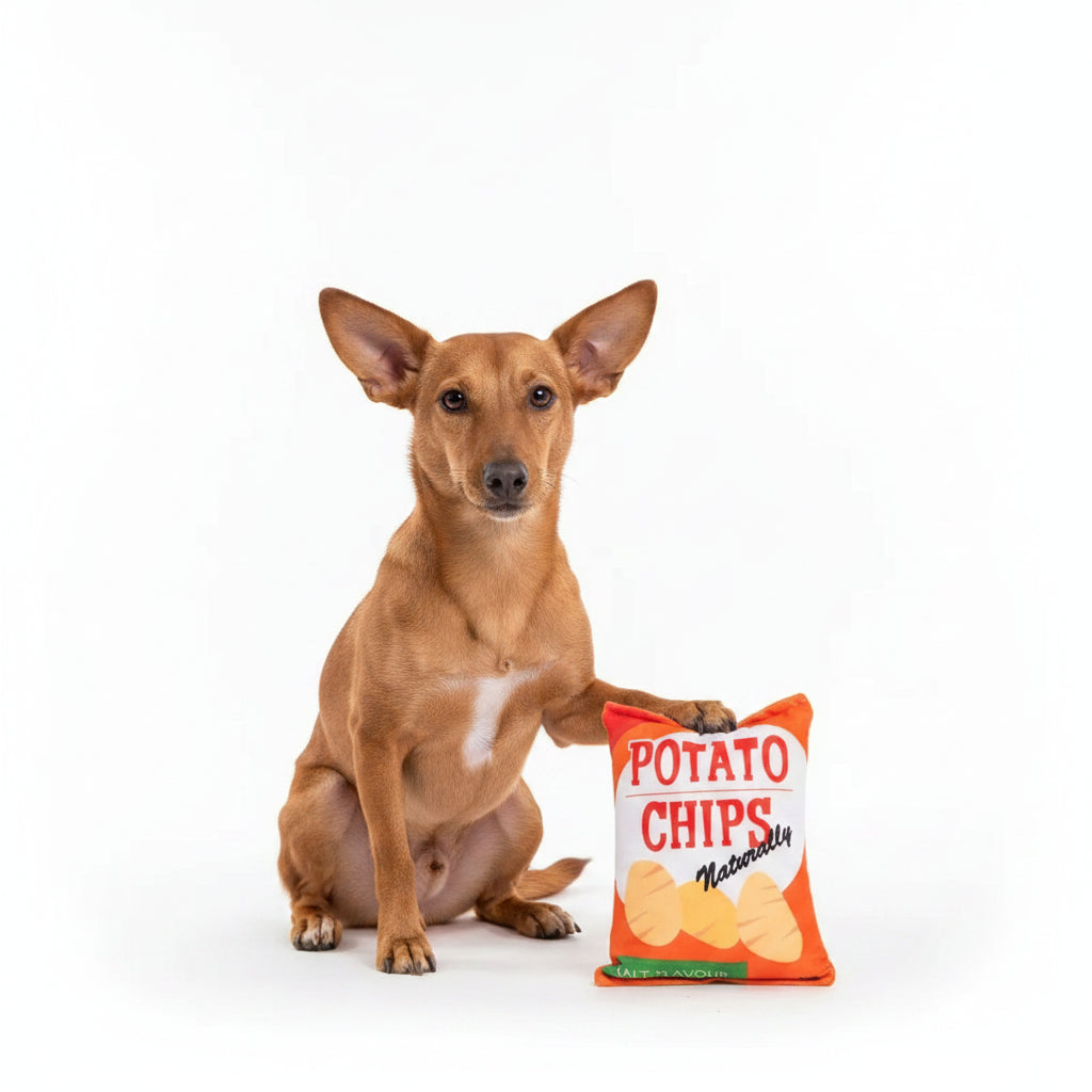 Juguete de Chips con sabores clásicos chirriante para Perros y Gatos