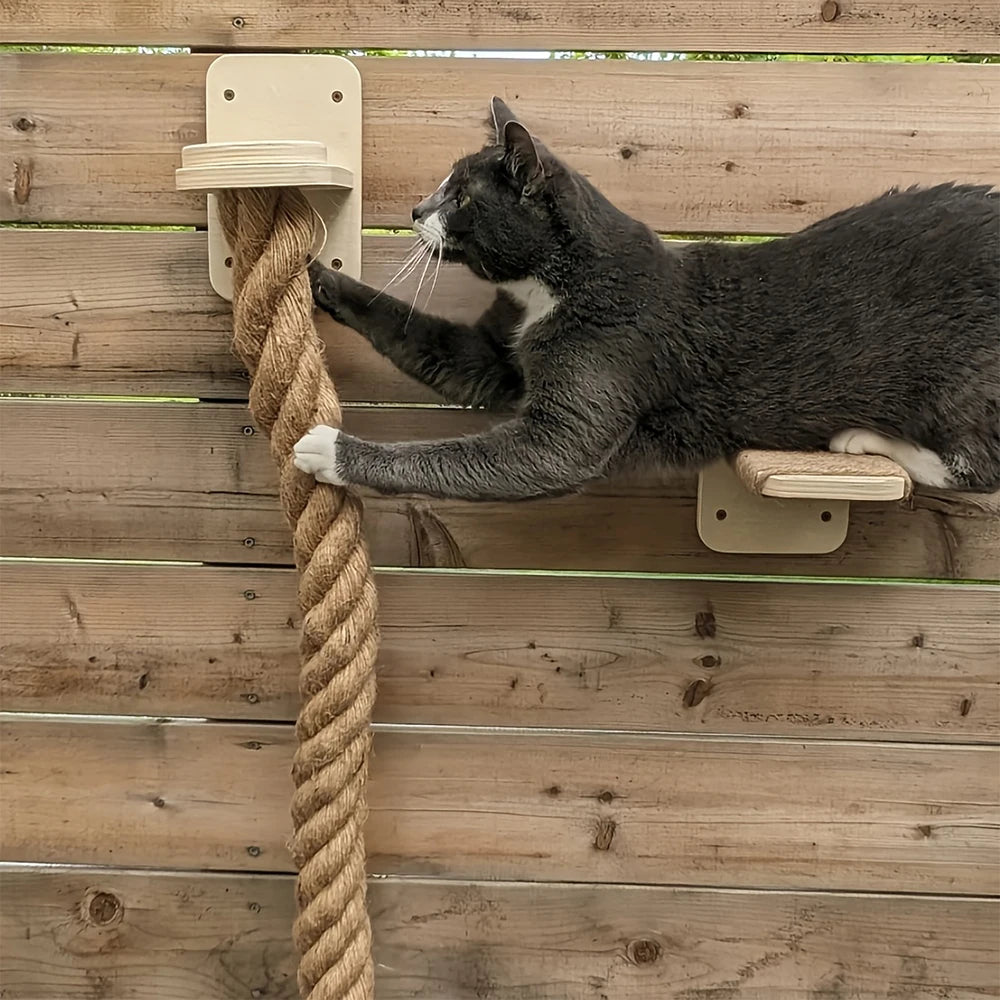 Set de Escalada para Gatos con Cuerda de 140cm y Estante - Diversión Vertical