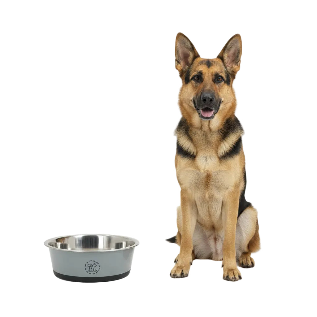 Comedero de Acero Antivuelco para Perros y Gatos - Gris