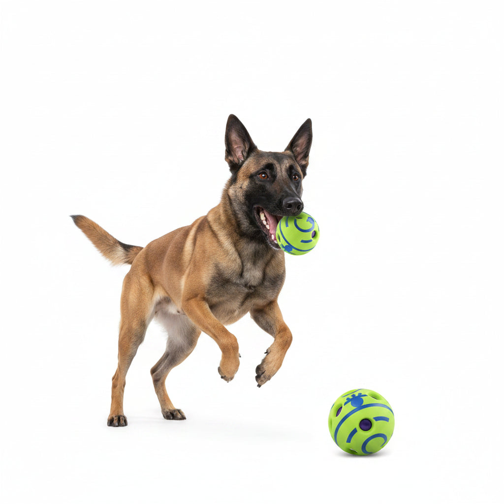 Pelota Interactiva con Sonido para Perros
