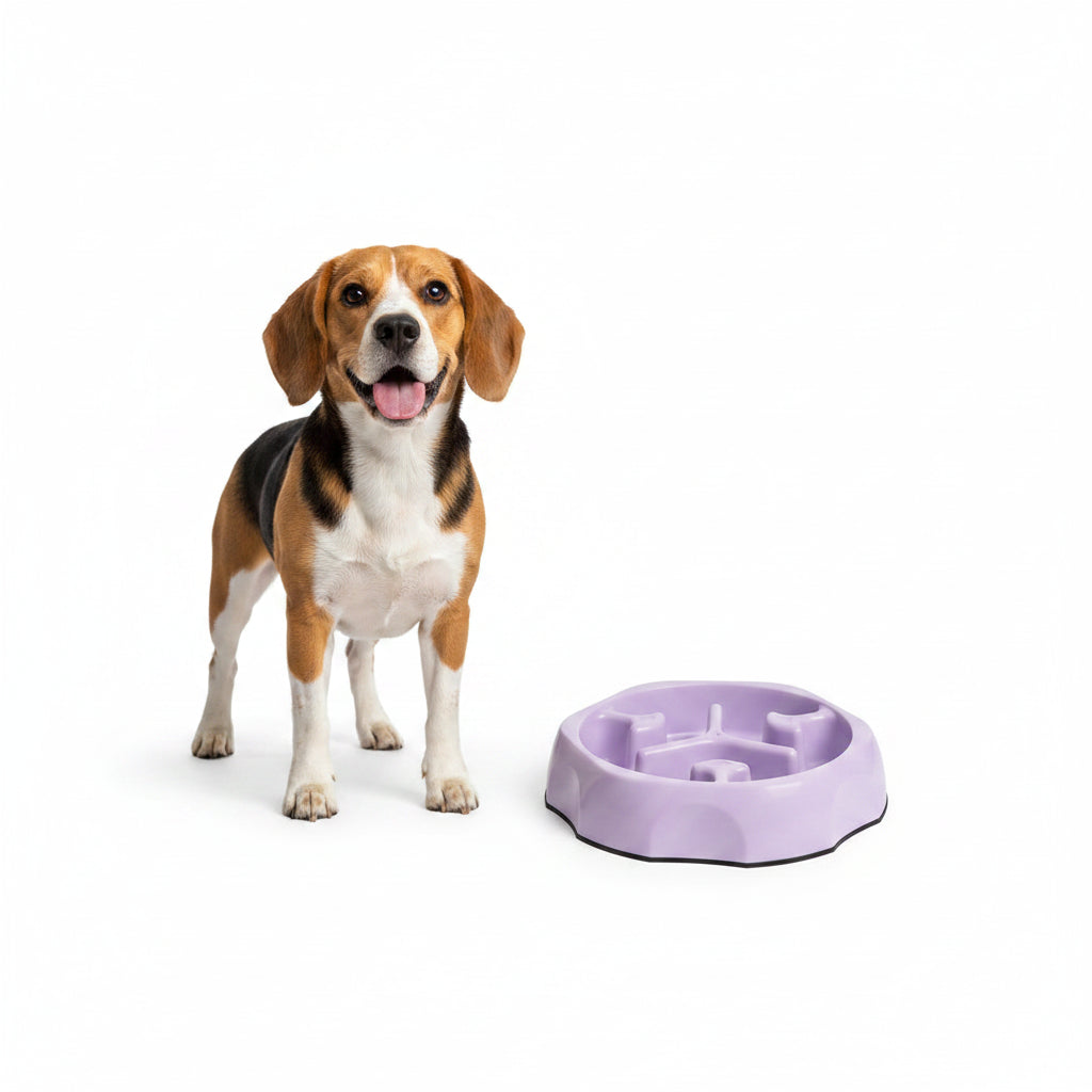 Comedero Antiahogo de Colores para Perros y Gatos - Modelo Alegre