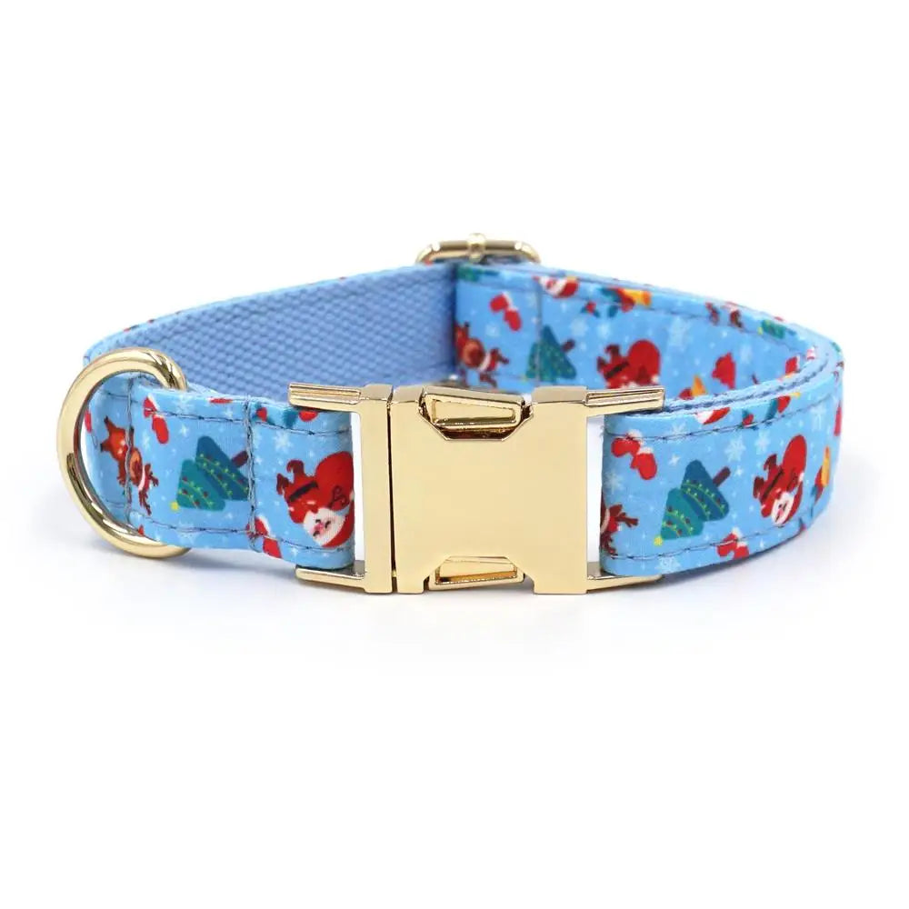 Collar y Correa de Nylon Azul para Perros – Resistencia y Estilo Diario
