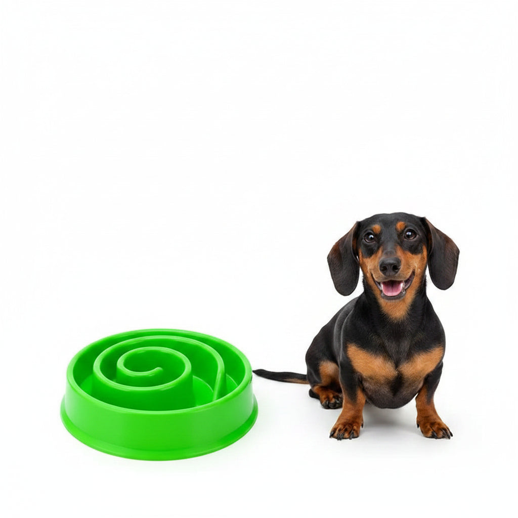 Comedero Antivoraz Espiral para Perros