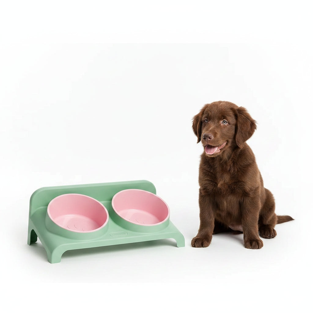 Comedero Doble Elevado y Ajustable para Perros y Gatos - Rosa y Verde