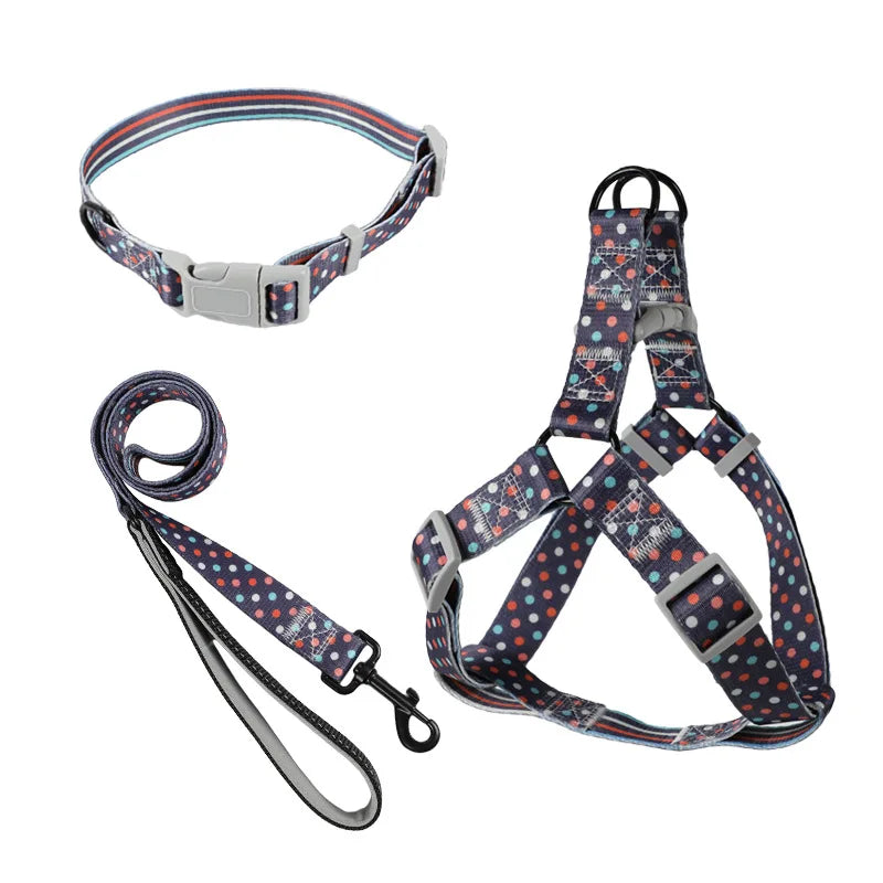 Arnés, Collar y Correa para Perro - Estampado de Lunares