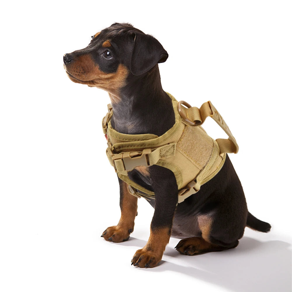 Arnés de Chaleco Táctico Acolchado para Perros y Gatos – Seguridad Extrema