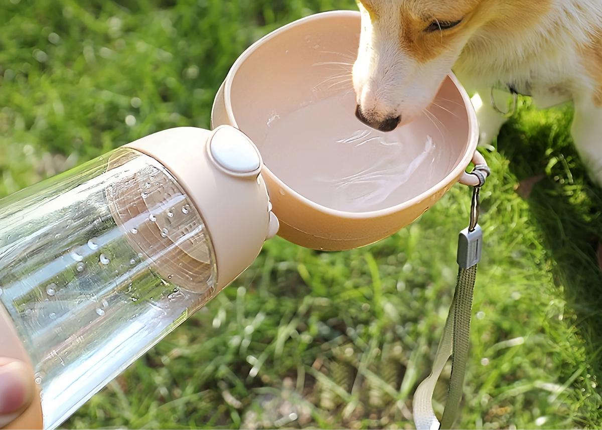 Comedero y Bebedero Portátil para Perros y Gatos – Práctico, Ligero y Antiderrame - Multicolor 400 ml