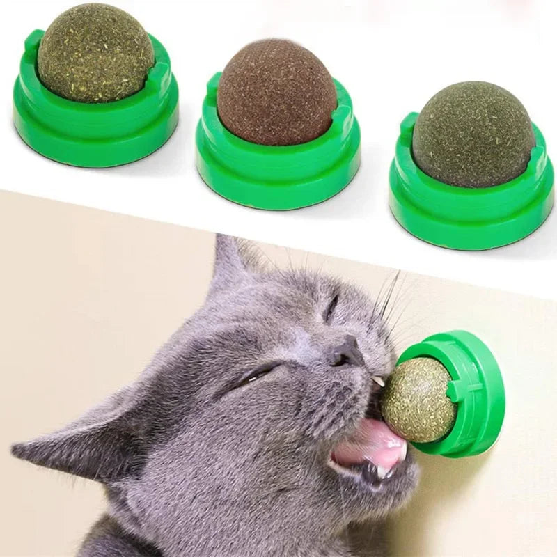 Selbstklebende Katzenminze-Bälle für Kratzbaum