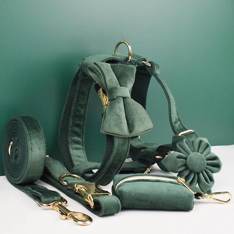 Set de Collar, Arnés y Correa de Terciopelo Verde Personalizable