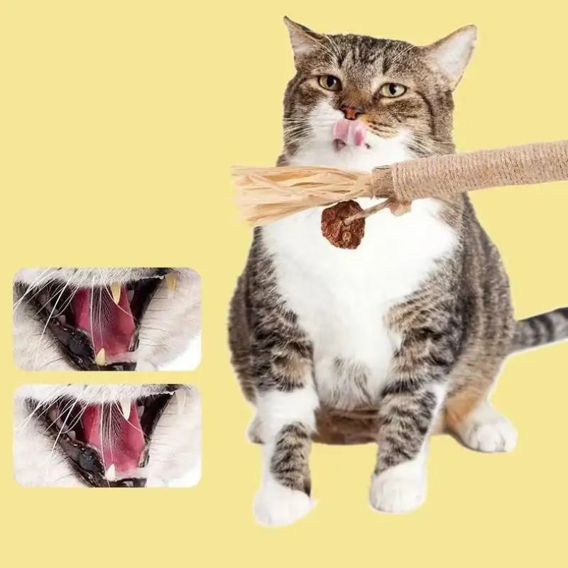 Palitos de Matatabi para Gatos - Limpieza Dental Natural