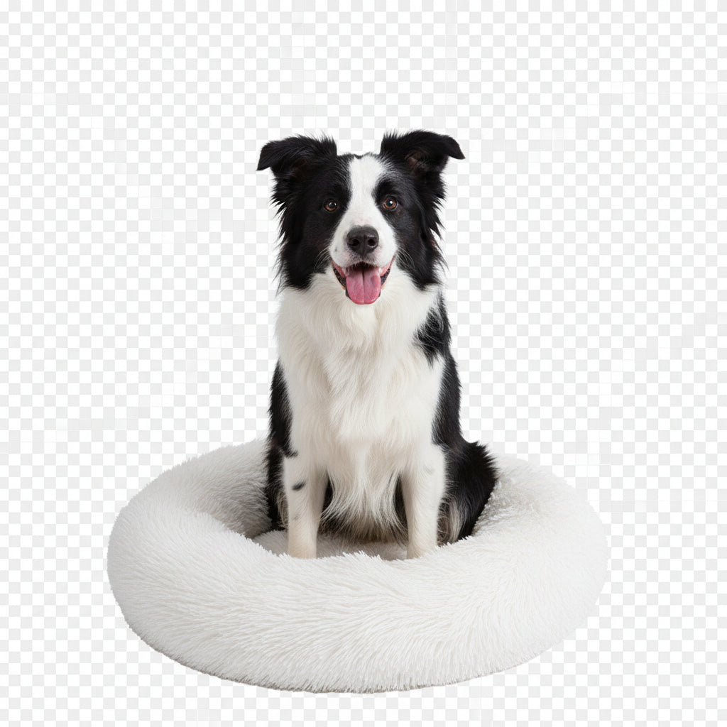 Orthopedic Donut Dog Bed - Calming Anti-Anxiety Pet Sofa Lounger, Washable for Small Large Dogs Cats, Comfortable Memory Mat