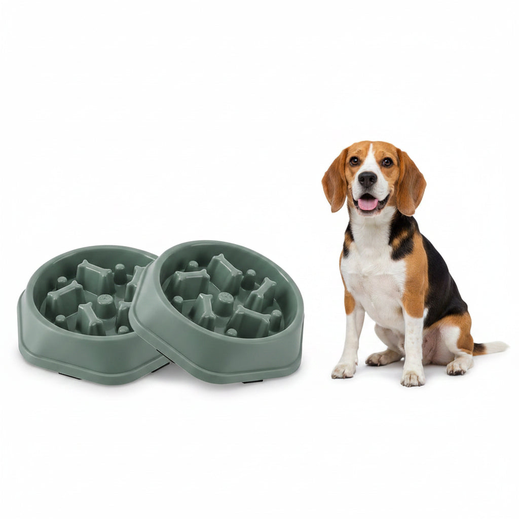 Comedero Antiahogo para Perros Pequeños y Medianos - Verde (2 uds.)
