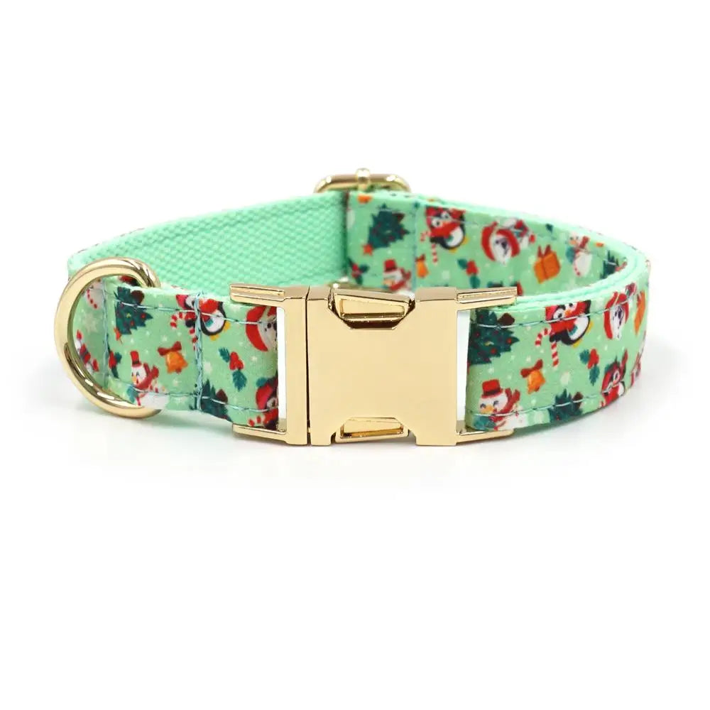 Collar y Correa de Nylon Verde para Perros – Durabilidad y Estilo Natural