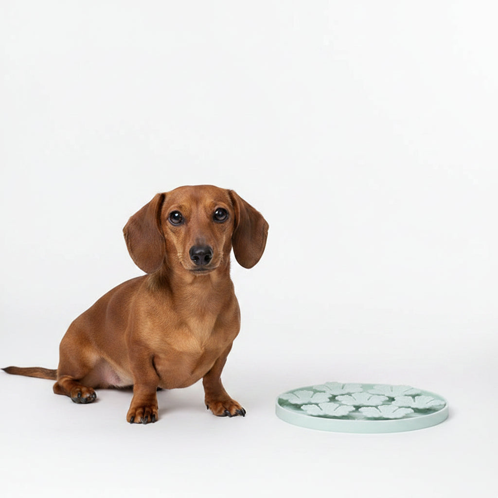 Alfombra de Silicona Lamedora para Perros - Verde Claro