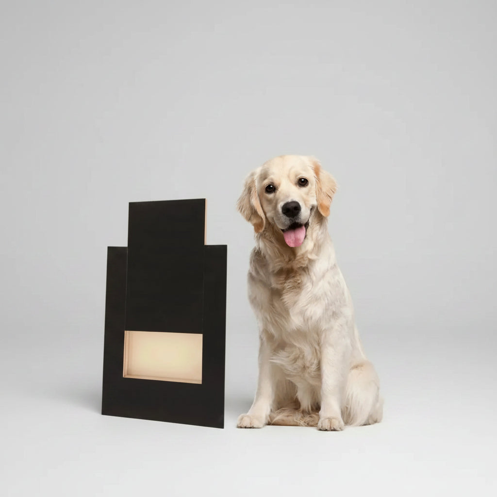 Tabla Lima de Uñas de Madera para Perros con Caja de Premios