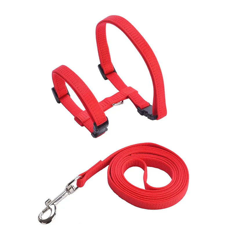 Set de Collar, Arnés y Correa Ajustable para Gatos