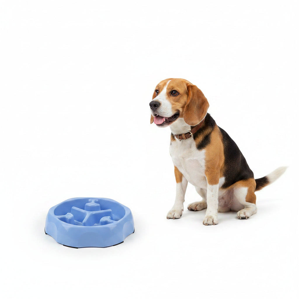 Comedero Antiahogo de Colores para Perros y Gatos - Modelo Fresco