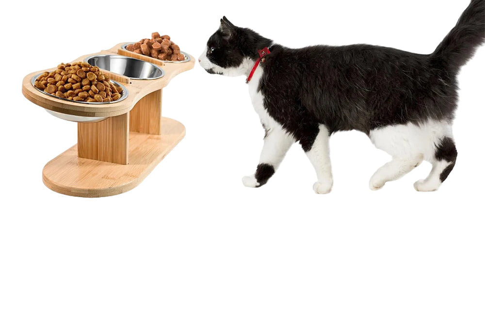 Comedero Elevado para Gatos con 3 Boles Inclinados 15° - Digestión Saludable