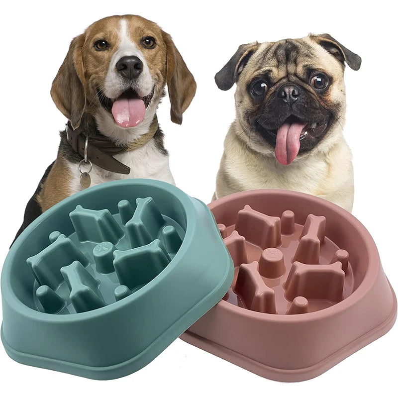 Comedero Antiahogo para Perros Pequeños y Medianos - Verde y Rosa